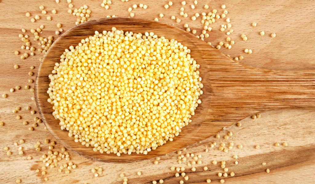 Take a leap of Nutrition with Super Millets Jumpstart