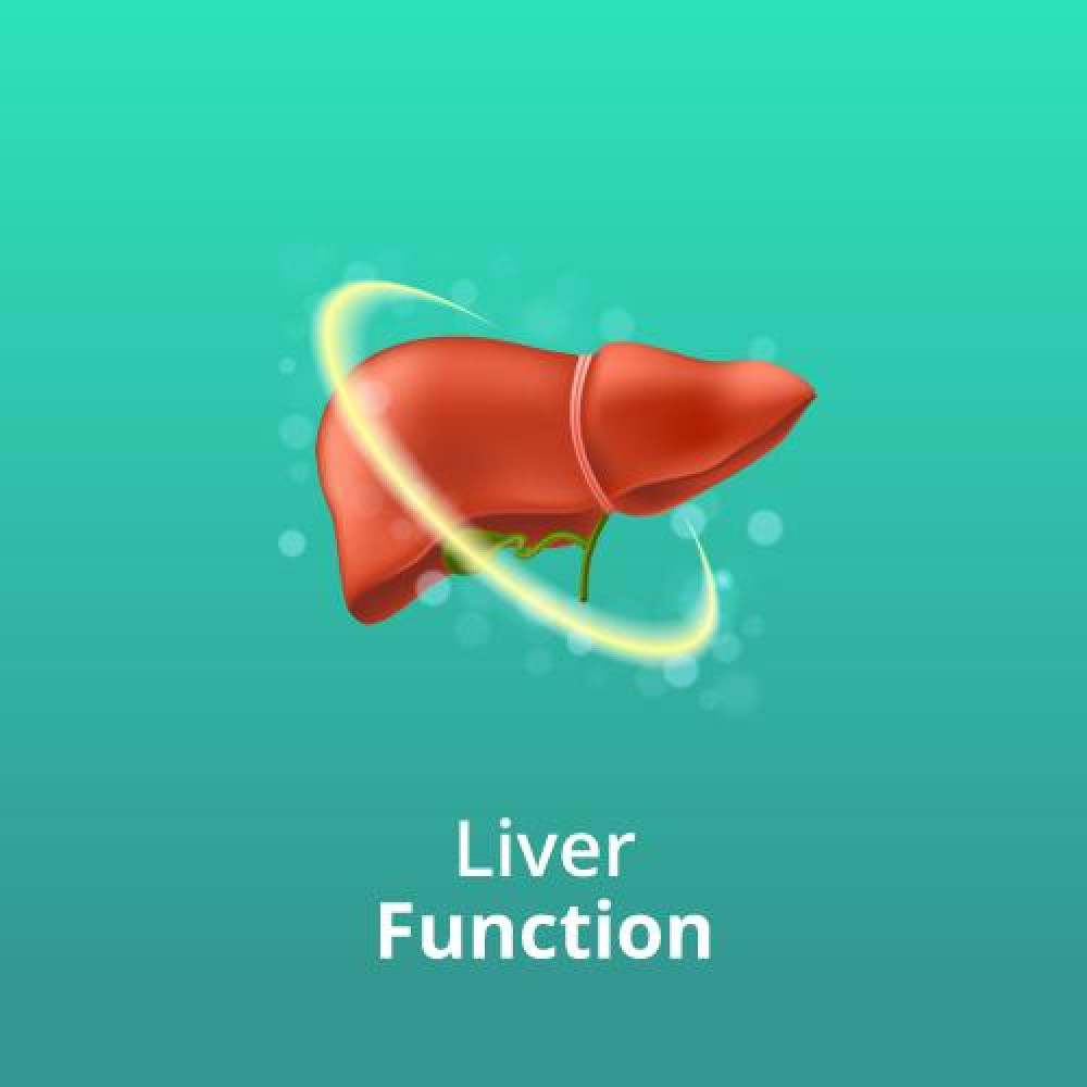Liver Function Test